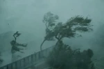 Gió lớn do ảnh hưởng của bão Mangkhut tại Hong Kong, Trung Quốc ngày 16/9. (Ảnh: THX/TTXVN)