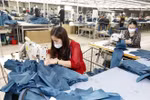 OECD dự báo kinh tế Việt Nam tăng trưởng 6,6% trong năm nay