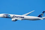 Một máy bay của EgyptAir. (Ảnh minh họa. Nguồn: punchng.com)