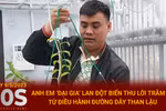 Anh em ‘đại gia’ lan đột biến thu lời trăm tỷ từ đường dây than lậu
