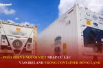 Bản tin 60s: Ba người Việt nhập cư lậu trong container đông lạnh vào Ireland