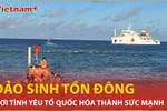 Sinh Tồn Đông: Nơi tình yêu Tổ quốc hóa thành sức mạnh 
