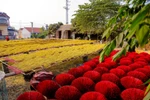 Nhộn nhịp làng nghề "cầu nối âm dương" ở tỉnh Hưng Yên