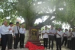 Đặt bia công nhận Cây di sản Việt Nam đối với cây lộc vừng ở xã Sơn Đông. (Ảnh: Nguyễn Thảo/TTXVN)