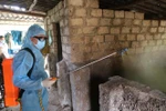 Cán bộ thú y tỉnh Lạng Sơn phun thuốc khử trùng chuồng trại chăn nuôi tại xã Thạch Đạn, huyện biên giới Cao Lộc. (Ảnh: Quang Duy/TTXVN)