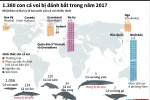 [Infographics] 1.380 con cá voi bị đánh bắt trong năm 2017