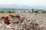 Hòa Bình: Đóng cửa bãi rác gây ô nhiễm nguồn nước sông Đà