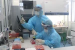 Xét nghiệm COVID-19. (Nguồn: TTXVN)