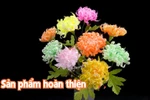 [Video] Hướng dẫn làm hoa cúc rực rỡ sắc màu từ giấy rút