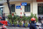 Chợ hoa Hàng Lược đã trở thành một nét sinh hoạt độc đáo của người dân phố cổ nói riêng và người dân Hà Nội nói chung. (Nguồn: Cand.com.vn)