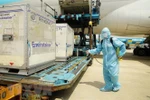Lô vắcxin COVID-19 đầu tiên của AstraZeneca về đến Việt Nam. (Ảnh: TTXVN phát)