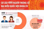 Cơ cấu 499 người trúng cử đại biểu Quốc hội khóa XV.