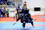 SEA Games 31: Pencak Silat Việt Nam vào bán kết ở 7 hạng cân đối kháng