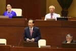 Bộ trưởng Bộ Lao động, Thương binh và Xã hội Đào Ngọc Dung trả lời chất vấn. (Ảnh: Doãn Tấn/TTXVN)