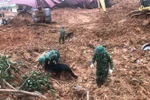 Lực lượng cứu hộ, cứu nạn sử dụng chó nghiệp vụ tham gia tìm kiếm. (Ảnh: TTXVN phát)