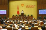 Quốc hội biểu quyết thông qua việc bổ sung nội dung vào chương trình kỳ họp thứ 10. (Ảnh: Doãn Tấn/TTXVN)