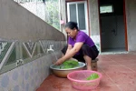 (Ảnh minh họa: Vũ Quang/TTXVN)