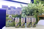 Sữa tươi Vinamilk Organic là sản phẩm nổi bật được giới thiệu tại triển lãm FHC Thượng Hải 2021 nhờ sở hữu 'tiêu chuẩn kép' là Organic châu Âu và Organic Trung Quốc. (Nguồn: Vietnam+)