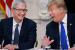 Tổng thống Mỹ Donald Trump và CEO Apple Tim Cook. (Nguồn: Getty Images)