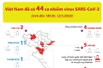[Infographics] Toàn cảnh 44 ca nhiễm virus SARS-CoV-2 tại Việt Nam