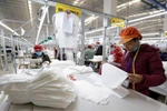 May hàng xuất khẩu sang thị trường EU tại Công ty may Tinh Lợi, khu công nghiệp Lai Vu, huyện Kinh Thành (Hải Dương). (Ảnh: Trần Việt - TTXVN)