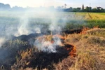  Đốt rơm rạ tại cánh đồng. (Ảnh: Công Luật/TTXVN)