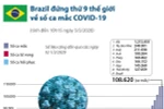 [Infographics] Brazil đứng thứ 9 thế giới về số ca mắc COVID-19