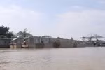 Một góc sông Hồng. (Ảnh: Doãn Tấn/TTXVN)