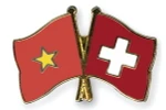 Ảnh minh họa. (Nguồn: crossed-flag-pins)