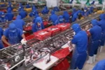 Chế biến cá tra xuất khẩu. (Ảnh: Vũ Sinh/TTXVN)