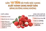 Vải thiều Bắc Giang lần thứ 2 'cất cánh' sang Nhật Bản.