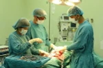 (Ảnh chỉ có tính minh họa: Thanh Sang/TTXVN)