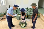Đội Quản lý Thị trường số 4 tiến hành kiểm đếm tang vật vi phạm. (Ảnh: PV/Vietnam+)
