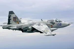 Máy bay huấn luyện quân sự Su-25UB. (Nguồn: urdupoint.com)