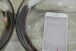 Hình ảnh chụp từ video clip thí nghiệm cho iPhone 6S và 6S Plus ngập trong bát nước đầy trong một giờ. (Nguồn: 9to5Mac)