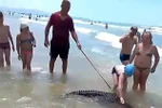Người đàn ông bị bắt giữ vì dắt cá sấu dọc bãi biển để kiếm tiền