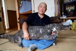 Ông Murabayashi đặt tên cho con cá sấu là Caiman. (Nguồn: Caters News Agency)