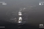 Quái vật hồ Loch Ness bất ngờ xuất hiện trên sông băng ở Alaska?