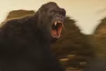 Phim quay tại Việt Nam "Kong: Skull Island" tung trailer chính thức
