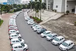 Hàng trăm xe Fadil đã có mặt tại Hà Nội sẵn sàng bàn giao cho khách trong ngày 17/6. (Ảnh: Minh Sơn/Vietnam+)