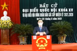 Bầu cử Quốc hội và Hội đồng Nhân dân: Những con số thuyết phục