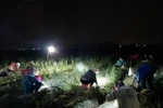 Hải Dương: Những hành động đẹp giữa tâm dịch bệnh COVID-19