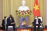 Chủ tịch nước Nguyễn Xuân Phúc tiếp Bộ trưởng Quốc phòng Hợp chúng quốc Hoa KỳLloyd Austin. (Ảnh: Thống Nhất/TTXVN)