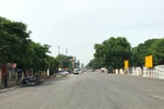 Hà Nội sẽ tiến hành chặt hạ, di chuyển 1.159 cây xanh trên trên tuyến đường Phạm Văn Đồng. (Ảnh: Việt Hùng/Vietnam+)