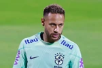 Neymar thu hút lượng lớn người hâm mộ trong buổi tập của Brazil