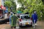 Hà Nội: Cây bật gốc, đè bẹp ôtô sau trận mưa lớn chiều 29/5