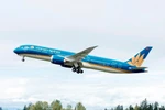 Tàu bay của hãng hàng không Vietnam Airlines. (Ảnh: CTV/Vietnam+)