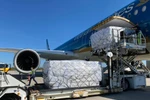 Chuyến bay vận chuyển 38,2 tấn hàng hoá là khẩu trang, trong đó có 1,3 triệu chiếc dành cho bang Mecklenburg-Vorpommern. (Ảnh: CTV/Vietnam+).