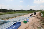 Người dân xã Nam Sơn bắt đầu tháo dỡ lều bạt đã căng, chặn mấy ngày qua. (Ảnh: Thành Đạt/TTXVN)