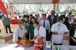 Tiêm phòng dại cho chó. (Ảnh minh họa: Công Trí/TTXVN)